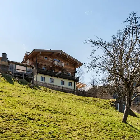 Mooslehen-1 By Interhome Apartment Schattberg